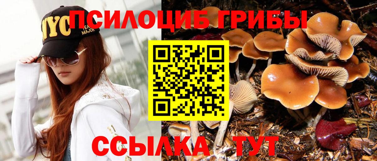 Галлюциногенные грибы Magic Shrooms  Вход с VPN  Рузаевка  Псилоцибиновые грибы Magic Shrooms 