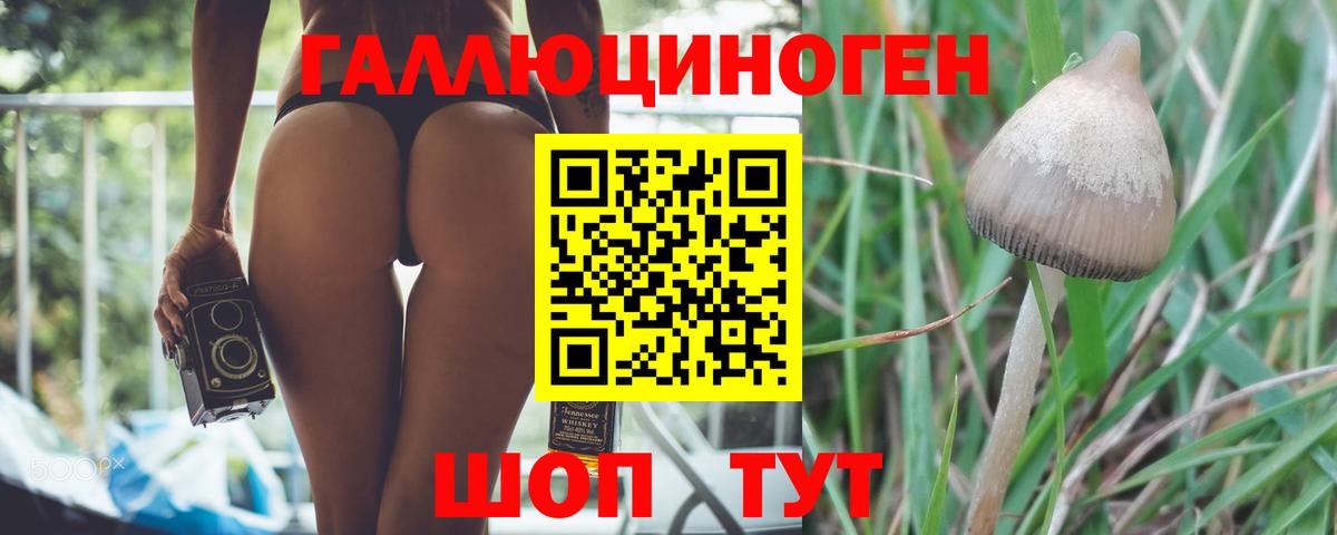 Галлюциногенные грибы ЛСД Рузаевка