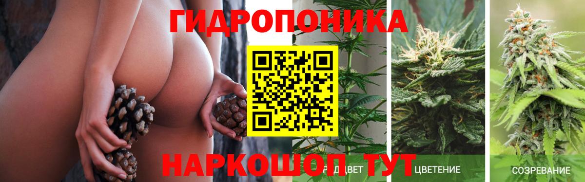 Рузаевка  Марихуана план  МАРИХУАНА SATIVA & INDICA  Вход с VPN 
